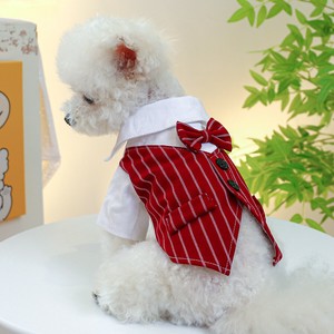 Dog Clothes SEED Congratulation