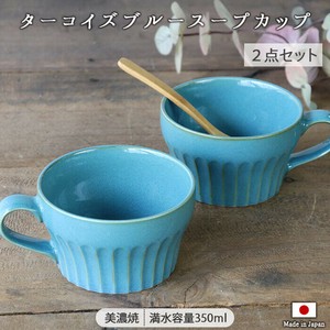 Mino ware Mug Set of 2 350ml 11cm Made in Japan