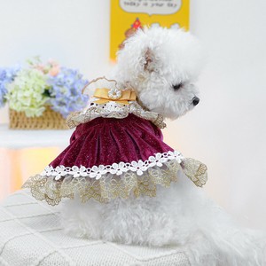 犬用服装