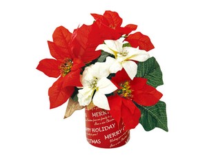 【日本製】エレガントポインセチア　クリスマススタンド【店舗装飾】
