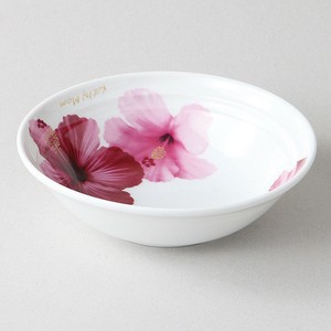 Mino ware Donburi Bowl