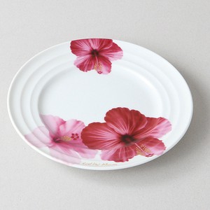 Mino ware Main Plate