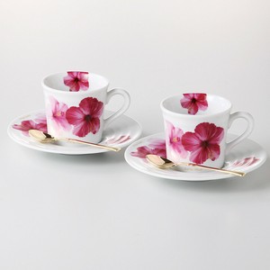 Mino ware Cup & Saucer Set