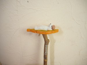 【ﾋﾟｯｸ】ﾌｲﾕｼｵﾋﾟｯｸ