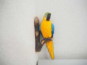 【ｵﾌﾞｼﾞｪ】ﾌﾞﾙｼﾞｮﾝﾇﾍﾟﾛｹ