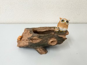 【ﾎﾟｯﾄ】ｲﾌﾞｰﾌﾞｯｼｭﾎﾟｯﾄ