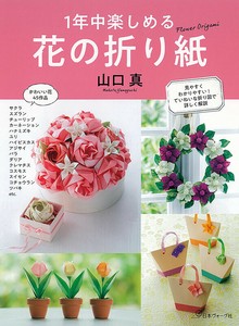 Handicrafts/Crafts Book Origami