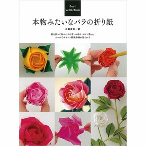 Handicrafts/Crafts Book Origami