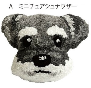 Cushion