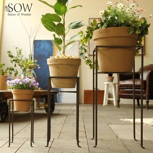 Flower Vase Flower