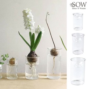 花瓶/花架 2024年 新商品 迷你 透明 秋冬
