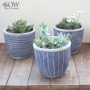 花盆 2024年 新商品 蓝色 秋冬