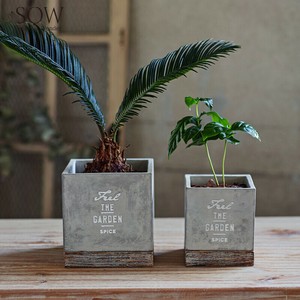 Pot/Planter Garden Square