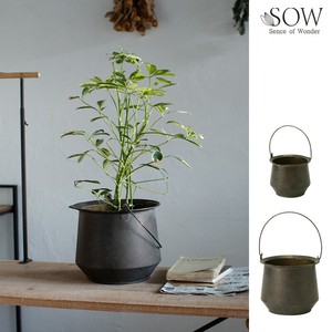 花盆 bloom 圆形