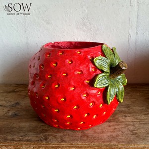 Pot/Planter