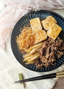 撥水十草　パスタプレート　全3色【美濃焼　パスタ皿　深皿　日本製　陶器】ヤマ吾陶器