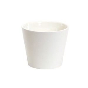クレイ　カラーベースラウンドS シャイニーホワイト Φ7.5×H6cm 6コ入 CC144761-100