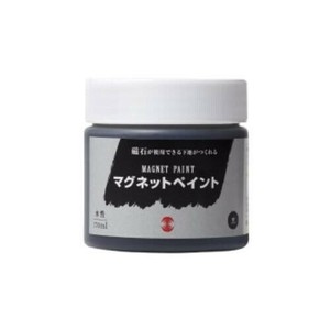 ターナー色彩　マグネットペイント  MG170031 170ML