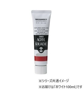ターナー色彩　アクリルガッシュ  ホワイト AG100001 100ML