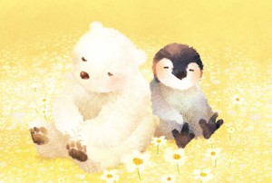 明信片 熊