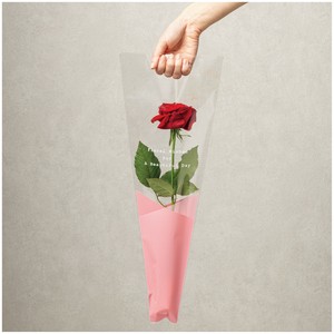 Flower-Use Plastic Bags Design