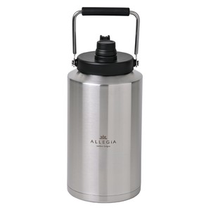 アレジア アイスコンテナ ジャグ アウトドア 3.5L 氷 ステンレス キャンプ 氷入れ AR-VICB35BK ブラック