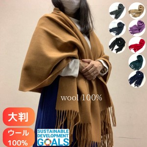 無地　厚手　ウールストール   レディース　ユニセックス　大判【2024秋冬】