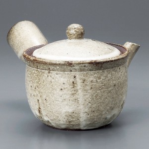 Shigaraki ware Japanese Teapot
