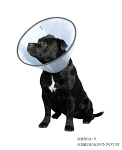 FANTASY WORLD　犬・猫用ラクラクペットカラー　VET Collar(ベットカラー)　XLサイズ　クリア・VC-5