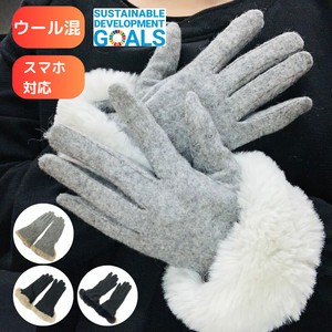 Gloves Faux Fur Ladies fashion [2024 A/W]