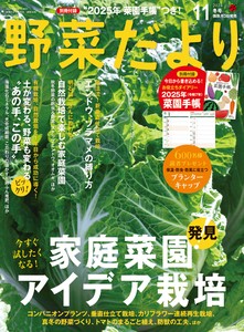 野菜だより2024年11月冬号