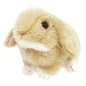 吉徳　りくのなかまたち　ぬいぐるみ　ロップイヤー　オレンジ　180127