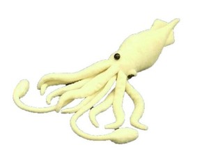 ティーエスティーアドバンス ダイオウイカ 7430 WHITE