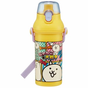 Water Bottle Skater