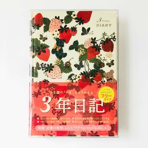 Tomoko Hayashi3年ダイアリー