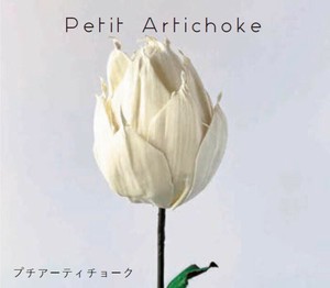 Sola Flower Stem Petit Collection プチコレクション Petit Artichoke プチアーティチョーク