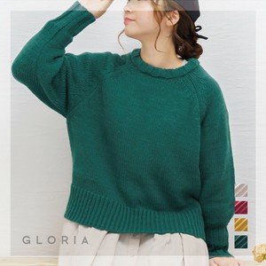 Sweater/Knitwear Raglan Knit Pullover