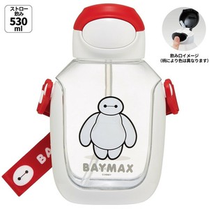 Water Bottle One Push Skater Big Hero