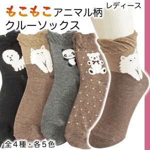 Crew Socks Ladies fashion Animal Print Teddy Bear Cat Socks