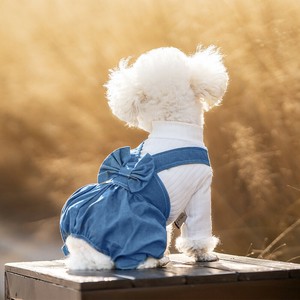 犬用服装 花 花朵 可爱 狗用