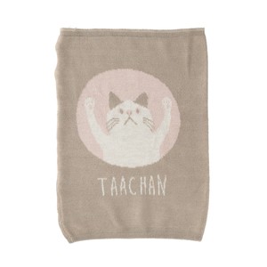 针织短裤 猫用品