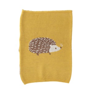 Belly Warmer/Knit Shorts