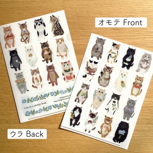Filing Item A5 Clear File