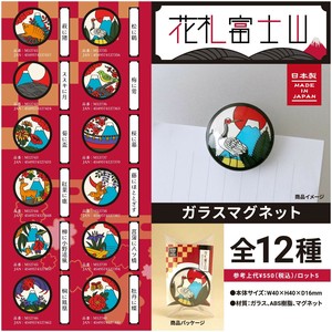 Magnet/Pin