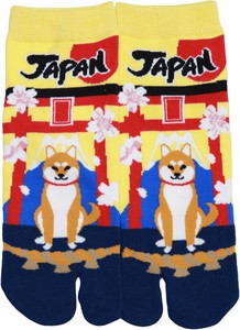 Tabi Socks Socks