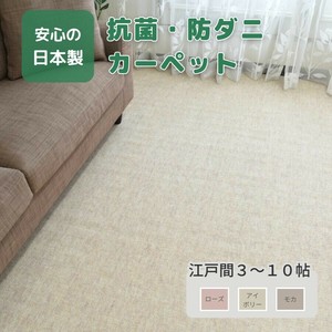 【直送可】抗菌　防ダニ　ループパイル　ラグ　カーペット　日本製　アクシア