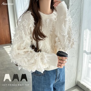 Sweater/Knitwear