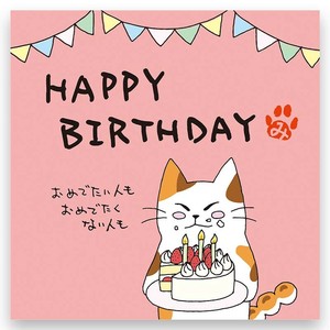 一煎用宇治煎茶『みたらしちゃん』D68（HAPPYBIRTHDAY）
