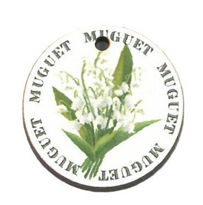 Button Lily Of The Valley