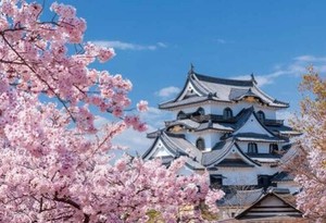 日本製 made in japan ジグソーパズル 国宝彦根城と桜木（滋賀） 01-2087